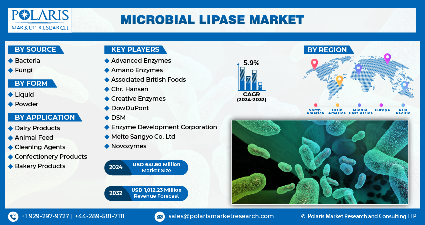 Microbial Lipase Market Share